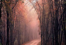 中国羽球大师赛骆建佑止步首轮 男女单头号种子晋级.