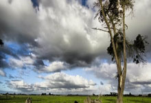 虎扑NBA官网：[NBA]常规赛3月19日：雄鹿VS勇士.