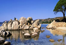 亚冬会：速度滑冰女子3000米杨滨瑜夺冠.